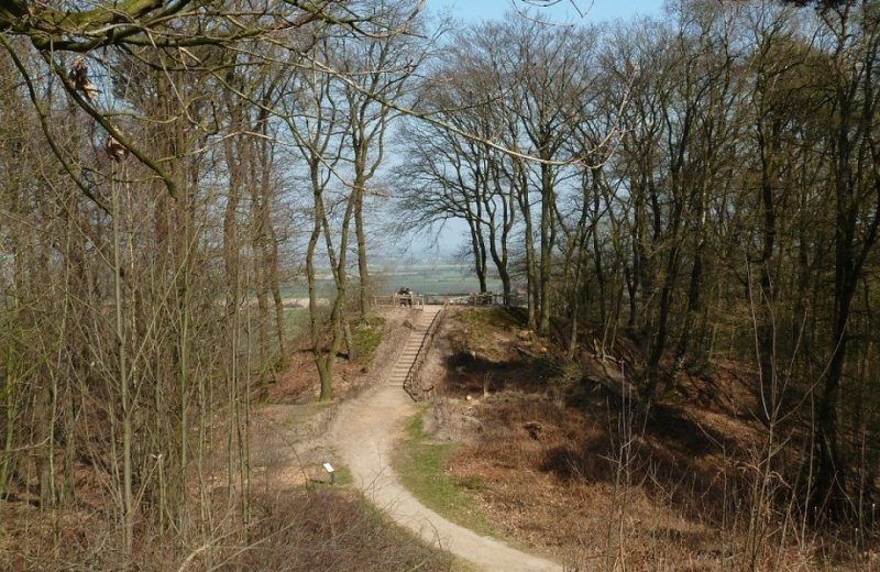 Das Haagje des Südens