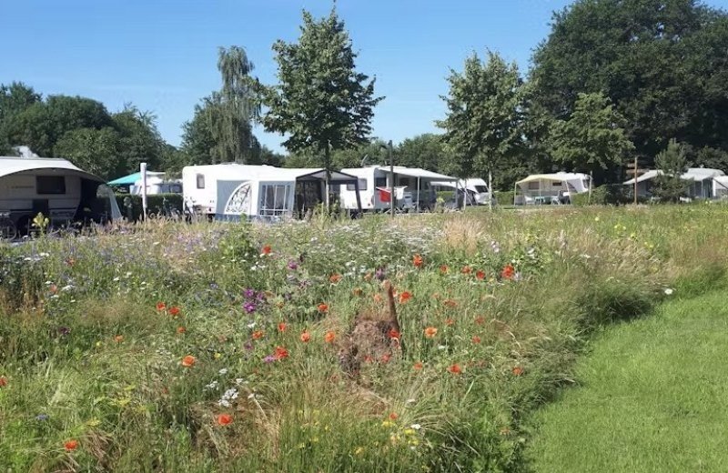 Komfortplatz am Außenrand