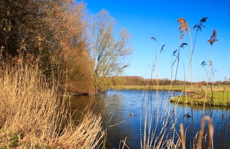Kreuzfahrt mit der Zilvermeeuw